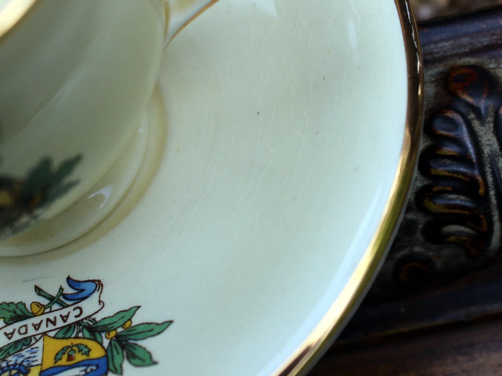 Royal Winton Grimwades Canada Crest Porcelain Cup and Saucer  11276