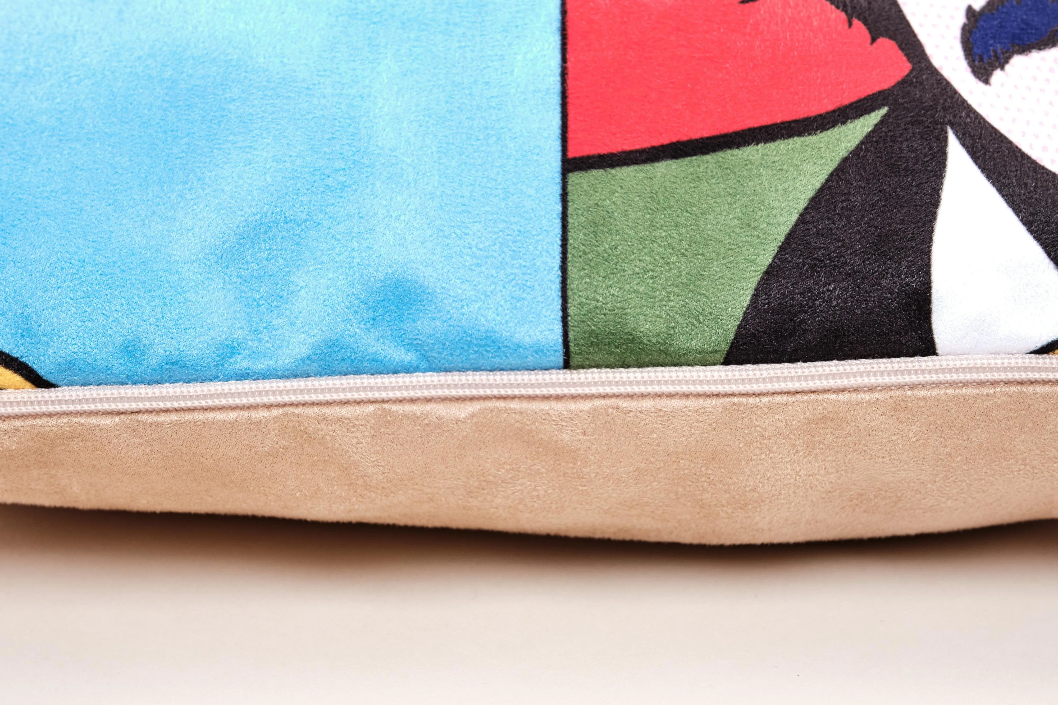 Stop n Search  - Banksy Inspired - Graffiti Art  Cushion