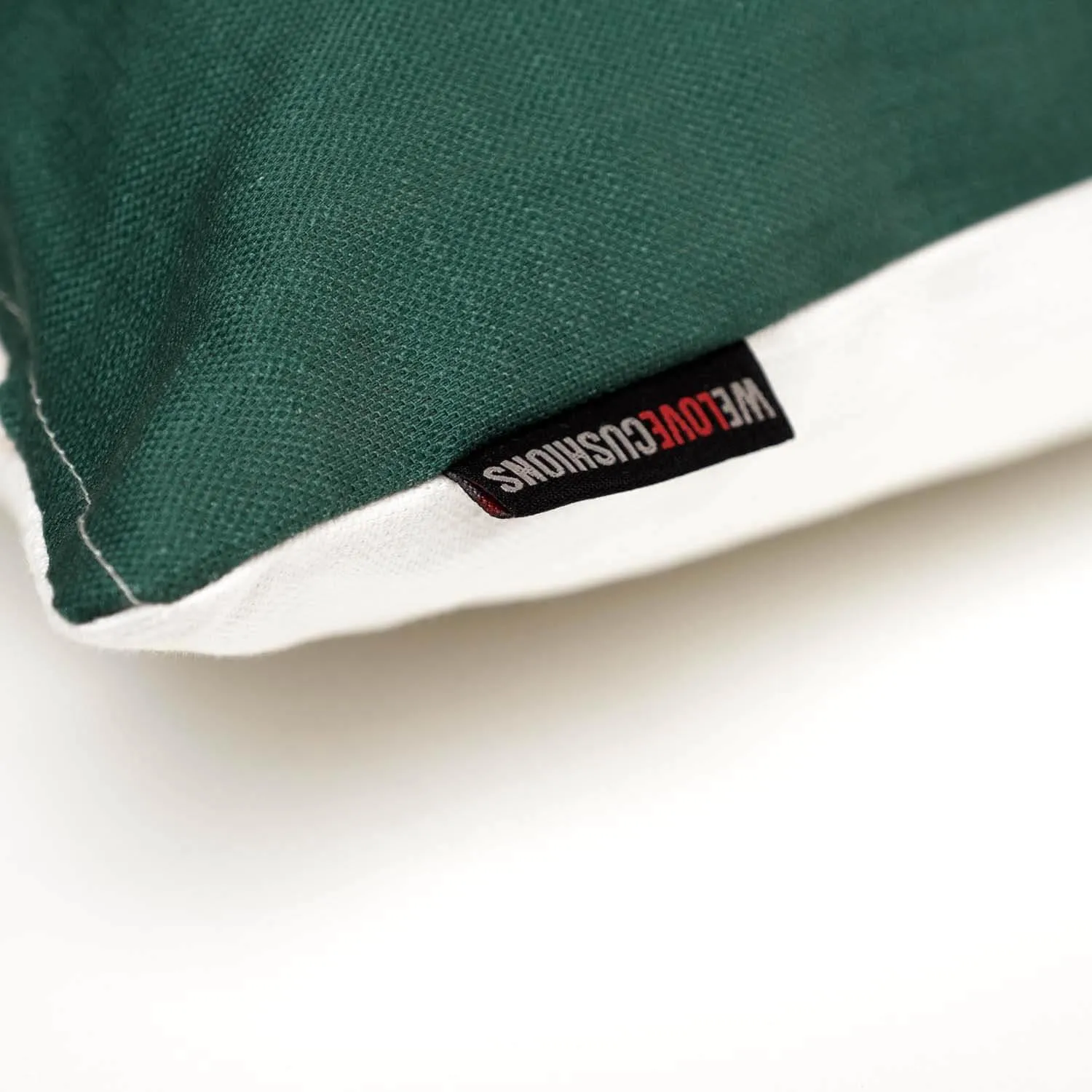 Stop n Search  - Banksy Inspired - Graffiti Art  Cushion